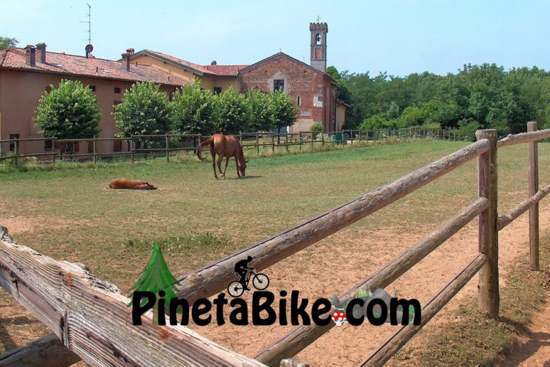 Località San Bartolomeo Pineta Bike Attrazioni Parco Pineta copia
