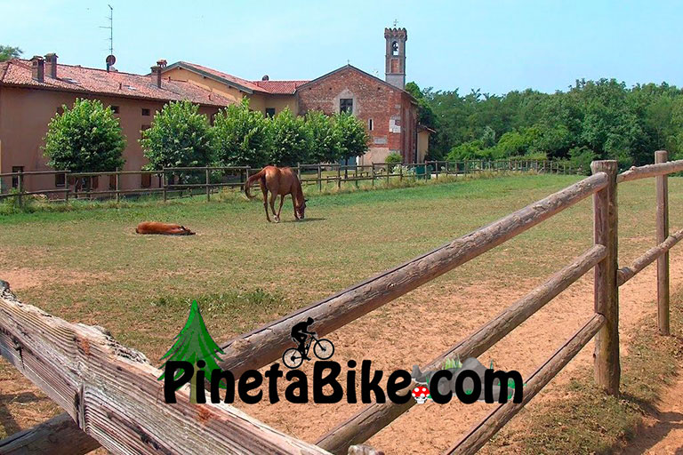 Località-San-Bartolomeo-Pineta-Bike-Attrazioni-Parco-Pineta-copia-small