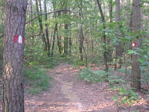 Tipica Area sosta nel Parco Pineta Di Appiano Gentile e Tradate Visite del Parco con Pineta Bike